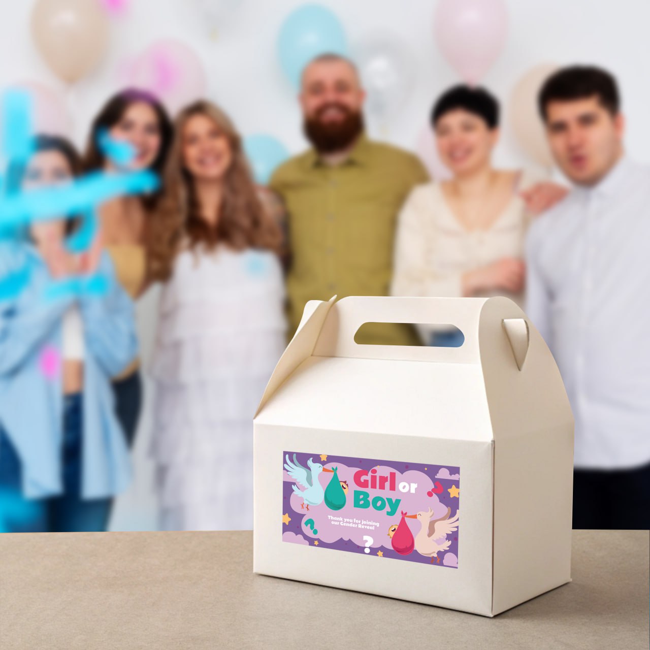 Gender Reveal Party Decal Set